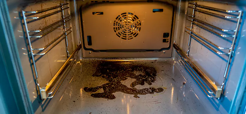 Our Dryer Vent Mold Cleaning Services in Henderson, NV