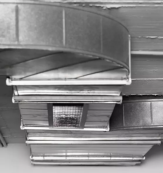 Professional Air Duct Pet Hair Removal in Henderson, NV