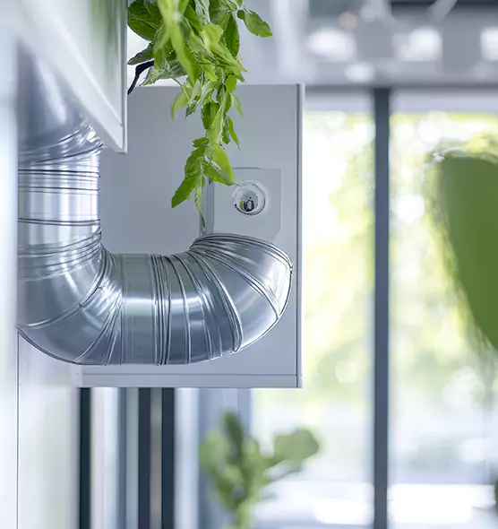 Professional Eco-Safe Dryer Vent Cleaning in Henderson, NV