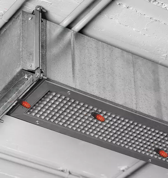 Affordable Insect Removal from Air Ducts in Henderson, NV
