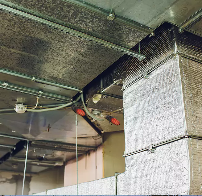 Why Homeowners & Businesses Trust Us Henderson, NV?