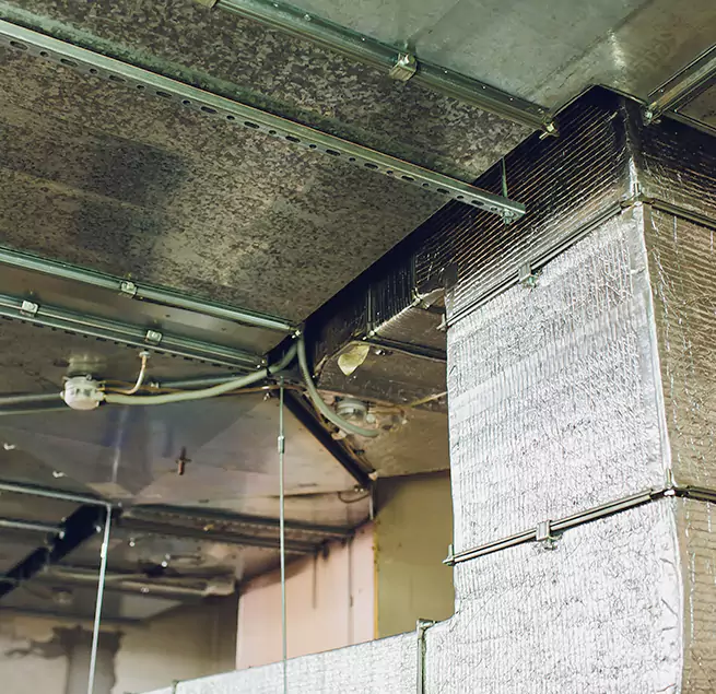 Why Homeowners & Businesses Trust Us in Henderson, NV?